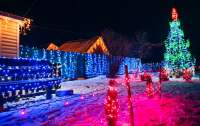В селе на Черниговщине мужчина превратил свой дом в новогоднюю сказку (фото)