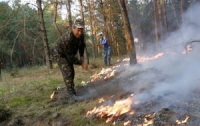 На Херсонщине горело 5 гектаров леса