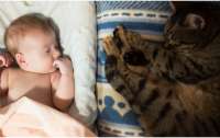 Кот спал на его лице: на Ровненщине умер 4-месячный мальчик