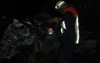 Спасатели нашли тело погибшего водителя под Киевом