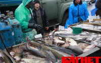 За год рыба в Украине подорожала на 30%