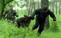 Украинские пограничники наградят медалями полсотни служебных собак