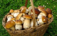 На Киевщине грибами отравились уже 57 человек