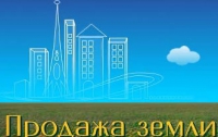 В Киеве нашли еще 273 «золотых» гектара