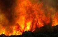 Пожар в Тасмании: люди спасаются в океане