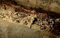 Итальянские ученые нашли останки Моны Лизы 