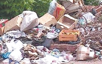 Чиновники Госохранприроды за взятки разрешали мусорить на Киевщине