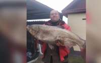 В Украине мужчина поймал 37-килограммовую рыбу-