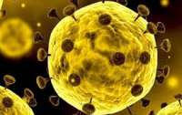 Ученые рассматривают несколько теорий возникновения коронавируса