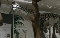Учёным удалось оживить динозавра
