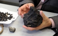 NASA: В обломках метеорита обнаружена внеземная жизнь