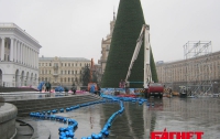 Власти Киева признали, что елка на Майдане далеко не красавица (ФОТО, ВИДЕО)