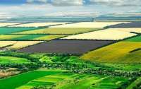 Через війну близько 20% сільськогосподарських земель України непридатні для обробки