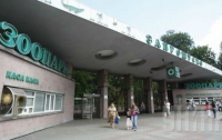 Перестройка столичного зоопарка запланирована на август