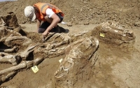 Археологи в Японии обнаружили седьмого динозавра