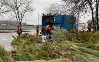 В Одессе торговцы бросили тысячи елок посреди улиц
