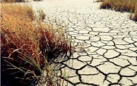Новая Зеландия переживает сильнейшую за 30 лет засуху