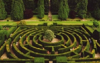 В киевских парках появятся фигурные лабиринты
