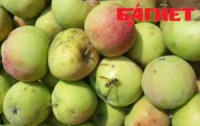 Выявлены новые полезные свойства яблок