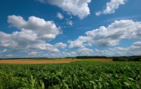 Половина украинских аграриев боится свободного рынка сельхозземель, - специалист 