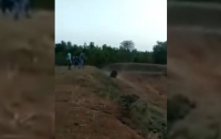 Самонадеянный индиец заплатил жизнью за селфи с раненым медведем (видео)