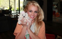 Бритни Спирс тратит на собак больше, чем на себя