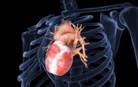 Украинские специалисты разработали новый тип сердечного клапана