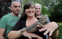Умершая и похороненная ручная ящерица воскресла через пять недель