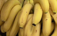 На планете из-за опасного грибка могут исчезнуть бананы