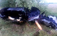 Авария на Закарпатье: авто разорвало пополам