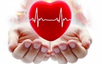 Учёные нашли отличия между мужским и женским инфарктом