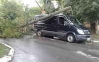 На микроавтобус с людьми в Кировоградской области упал столб