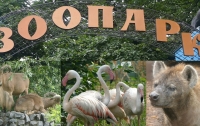Какой зоопарк опасен для здоровья