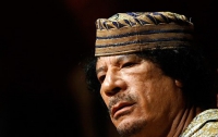 Правозащитники нашли банки с миллионными заначками Каддафи