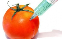 В украинских продуктах обнаружили ГМО