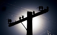 Примерно 7% электроэнергии в Украине за 2010 год «ушло в тень»