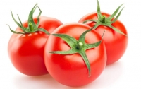 Зараженные помидоры пытались завезти в Украину из Турции