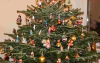 Новогоднее дерево активно скупают на несколько дней