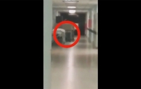 В аргентинской больнице видели призрака (видео)
