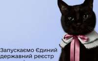 В Україні запускають Єдиний державний реєстр домашніх тварин