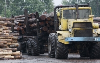 Украинцы отказываются от газа в пользу дров