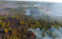 В Черкасской области пятые сутки тушат торфяной пожар