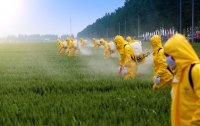 В Швейцарии хотят полностью запретить пестициды