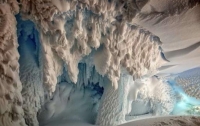 В пещерах Антарктиды скрываются неизвестные науке виды живых существ – ученые
