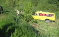 В Киевской области школьный автобус съехал в кювет