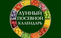 Что можно делать огородникам-любителям в последний день зимы