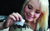 Девушка поборола страх перед пауками и начала их любить (ФОТО)