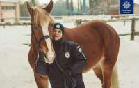 Коня взяли на службу в полицию