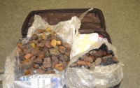 Иностранки пытались вывезти из Украины контрабандный янтарь