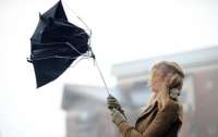 Сильный порывистый ветер принесет в Украину потепление